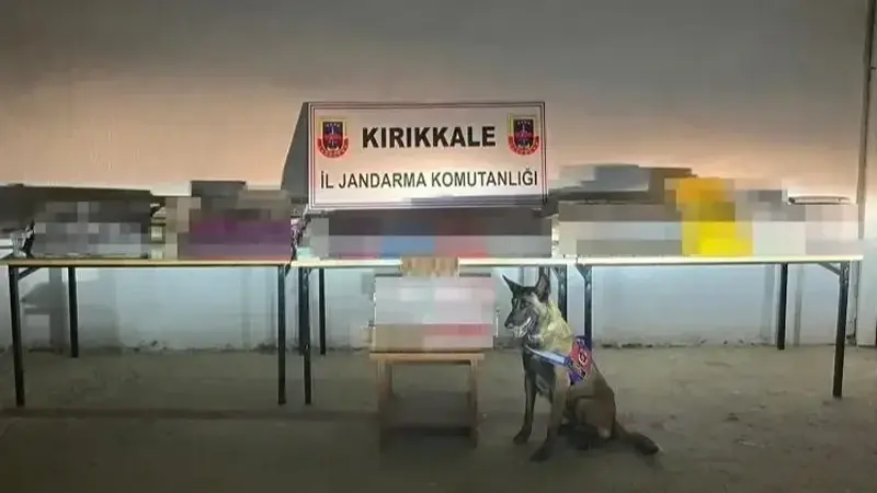 Şüphe üzerine durdurulan araçta ele geçirildiler: Piyasa değeri 1,5 milyon lira